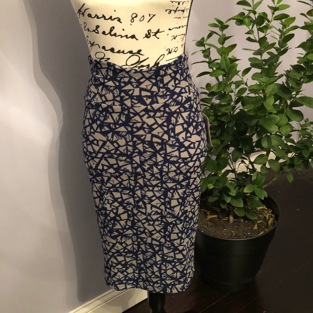 Lularoe cassie skirt
